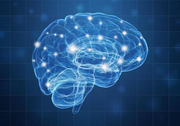 Hormones du stress : pourquoi les surveiller toutes les 5 ?